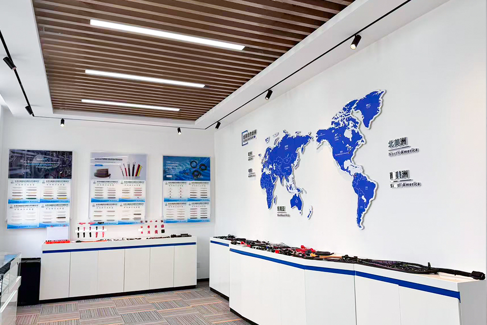 XSD company display area and international market wall